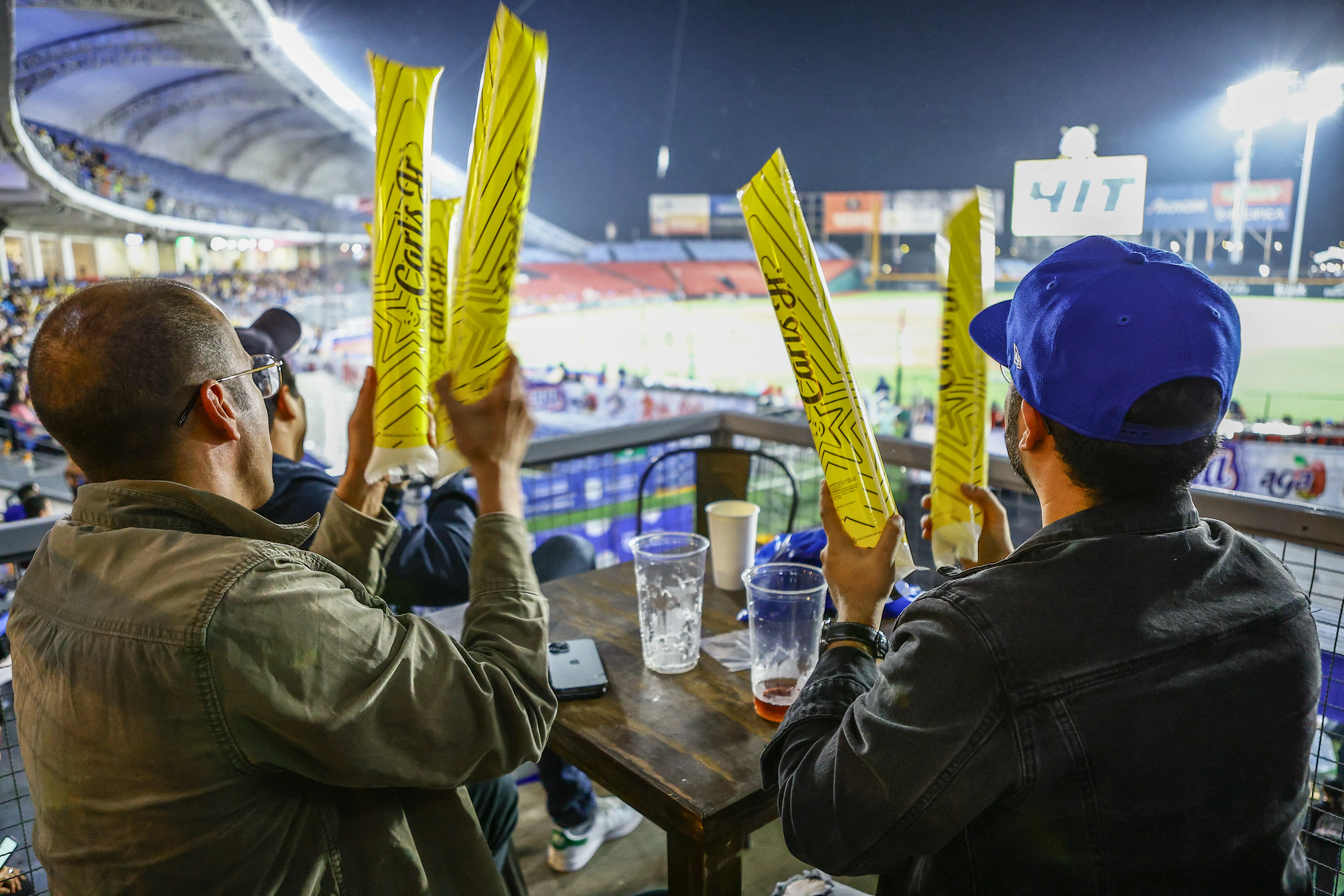 Experiencia única viendo béisbol profesional